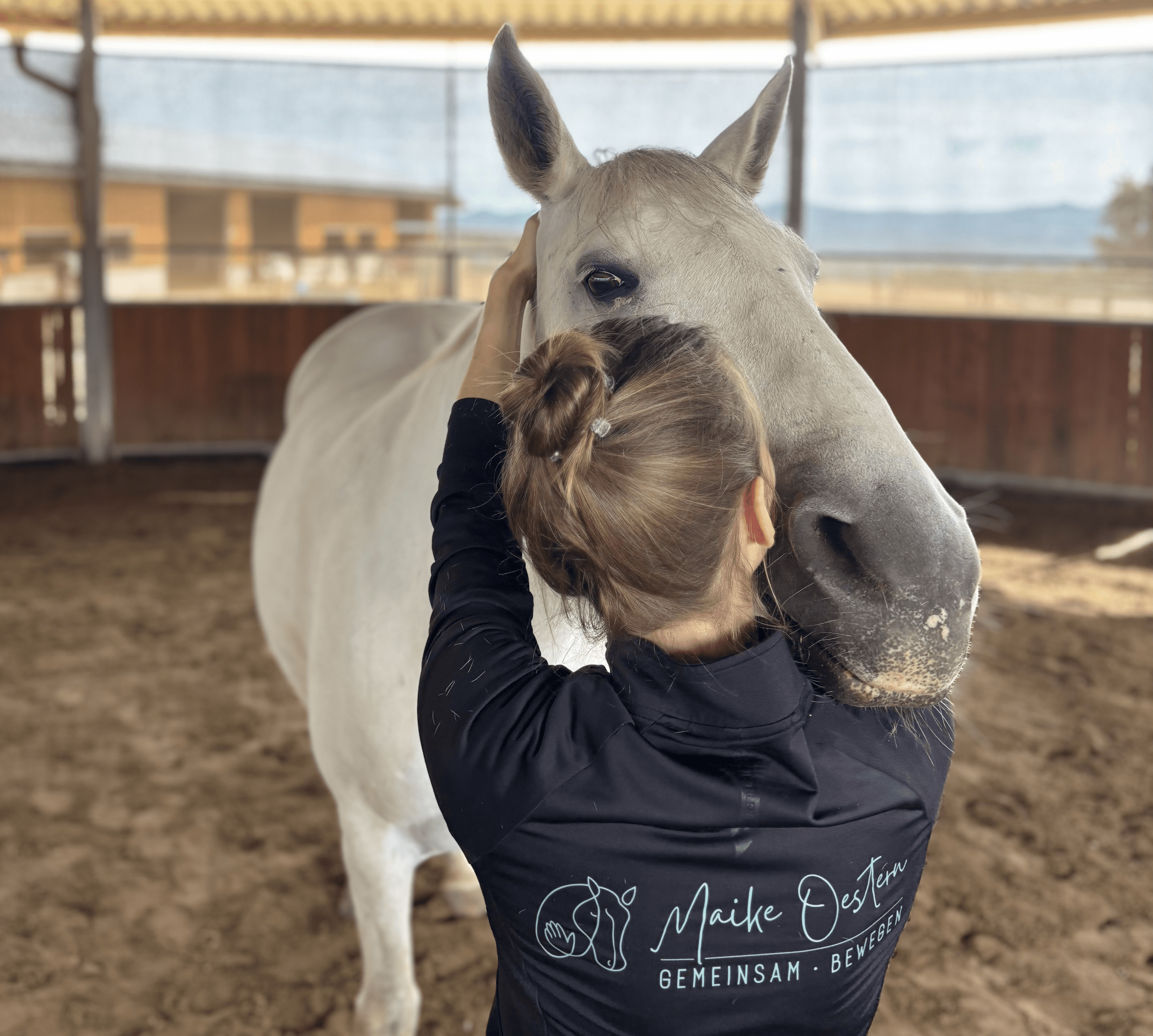 Kopfbehandlung bei einem weißen Pferd
